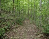 Lot 1 Crim Avenue, Belington, West Virginia 26250, 0 , 0 ,0,Lots/land,For Sale,Crim,0,10166524