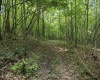 Lot 1 Crim Avenue, Belington, West Virginia 26250, 0 , 0 ,0,Lots/land,For Sale,Crim,0,10166524