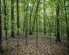 Lot 1 Crim Avenue, Belington, West Virginia 26250, 0 , 0 ,0,Lots/land,For Sale,Crim,0,10166524