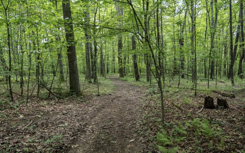 Lot 1 Crim Avenue, Belington, West Virginia 26250, 0 , 0 ,0,Lots/land,For Sale,Crim,0,10166524