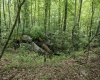 Lot 1 Crim Avenue, Belington, West Virginia 26250, 0 , 0 ,0,Lots/land,For Sale,Crim,0,10166524
