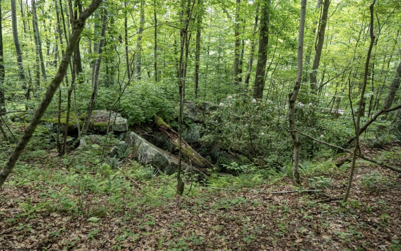 Lot 1 Crim Avenue, Belington, West Virginia 26250, 0 , 0 ,0,Lots/land,For Sale,Crim,0,10166524