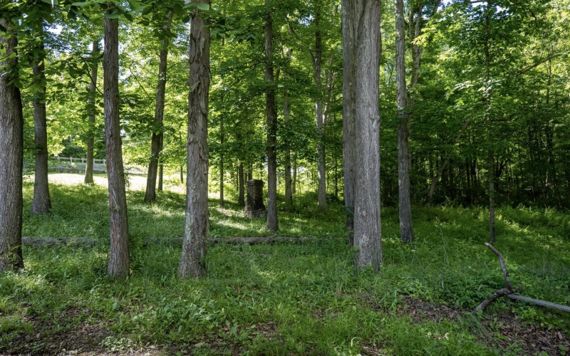 Lot 1 Crim Avenue, Belington, West Virginia 26250, 0 , 0 ,0,Lots/land,For Sale,Crim,0,10166524