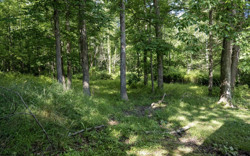 Lot 1 Crim Avenue, Belington, West Virginia 26250, 0 , 0 ,0,Lots/land,For Sale,Crim,0,10166524