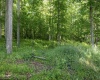 Lot 1 Crim Avenue, Belington, West Virginia 26250, 0 , 0 ,0,Lots/land,For Sale,Crim,0,10166524