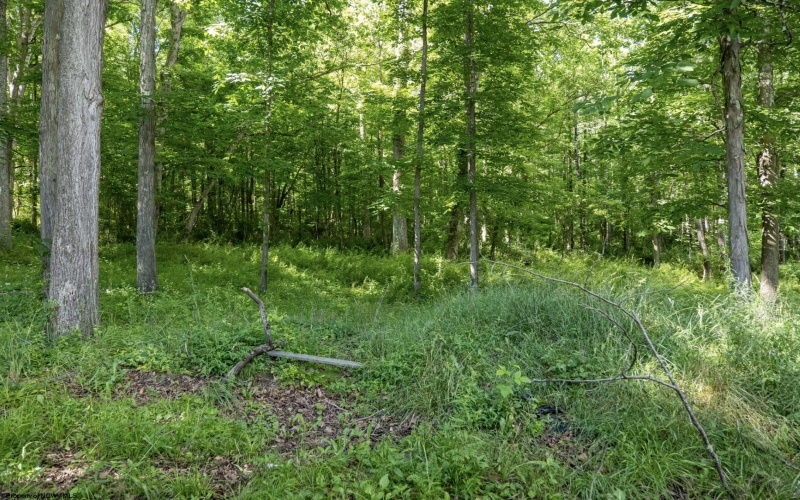 Lot 1 Crim Avenue, Belington, West Virginia 26250, 0 , 0 ,0,Lots/land,For Sale,Crim,0,10166524