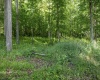 Lot 1 Crim Avenue, Belington, West Virginia 26250, 0 , 0 ,0,Lots/land,For Sale,Crim,0,10166524