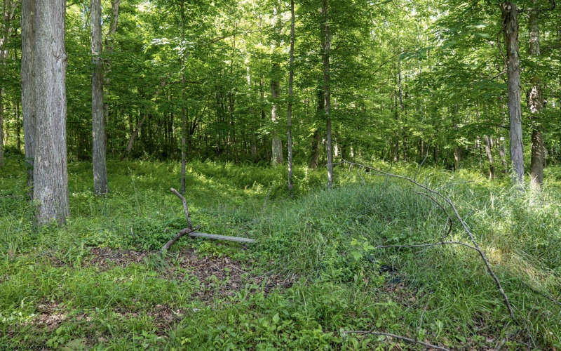 Lot 1 Crim Avenue, Belington, West Virginia 26250, 0 , 0 ,0,Lots/land,For Sale,Crim,0,10166524