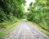 Lot 1 Buck Lick Road, Terra Alta, West Virginia 26764, 0 , 0 ,0,Lots/land,For Sale,Buck Lick,0,10166525