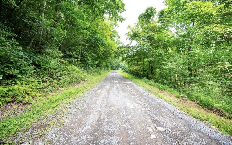 Lot 1 Buck Lick Road, Terra Alta, West Virginia 26764, 0 , 0 ,0,Lots/land,For Sale,Buck Lick,0,10166525