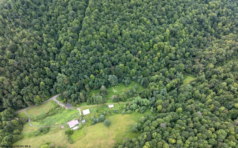 Lot 1 Buck Lick Road, Terra Alta, West Virginia 26764, 0 , 0 ,0,Lots/land,For Sale,Buck Lick,0,10166525