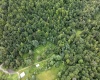Lot 1 Buck Lick Road, Terra Alta, West Virginia 26764, 0 , 0 ,0,Lots/land,For Sale,Buck Lick,0,10166525