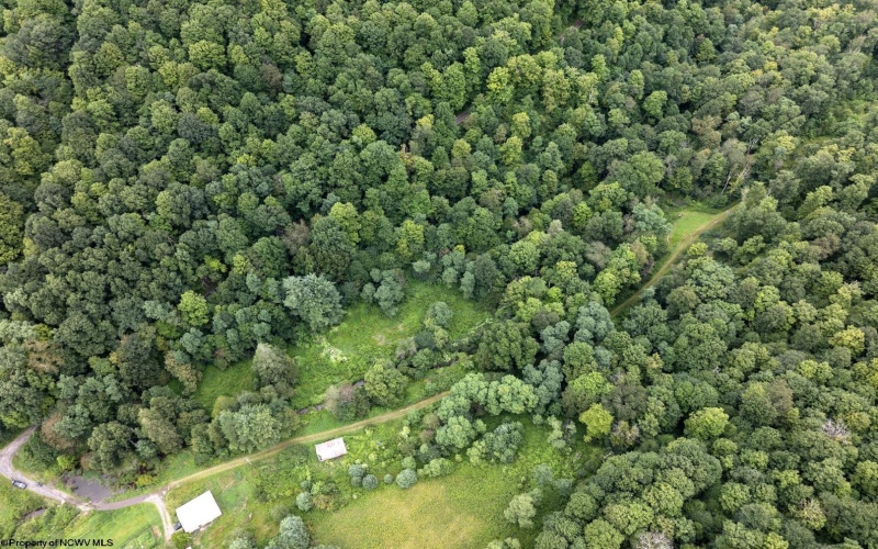 Lot 1 Buck Lick Road, Terra Alta, West Virginia 26764, 0 , 0 ,0,Lots/land,For Sale,Buck Lick,0,10166525