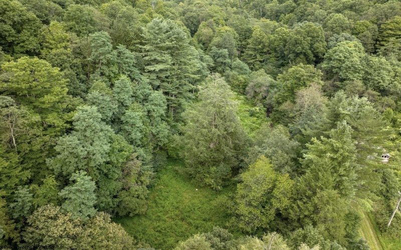 Lot 1 Buck Lick Road, Terra Alta, West Virginia 26764, 0 , 0 ,0,Lots/land,For Sale,Buck Lick,0,10166525