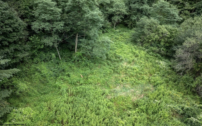 Lot 1 Buck Lick Road, Terra Alta, West Virginia 26764, 0 , 0 ,0,Lots/land,For Sale,Buck Lick,0,10166525