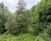 Lot 1 Buck Lick Road, Terra Alta, West Virginia 26764, 0 , 0 ,0,Lots/land,For Sale,Buck Lick,0,10166525