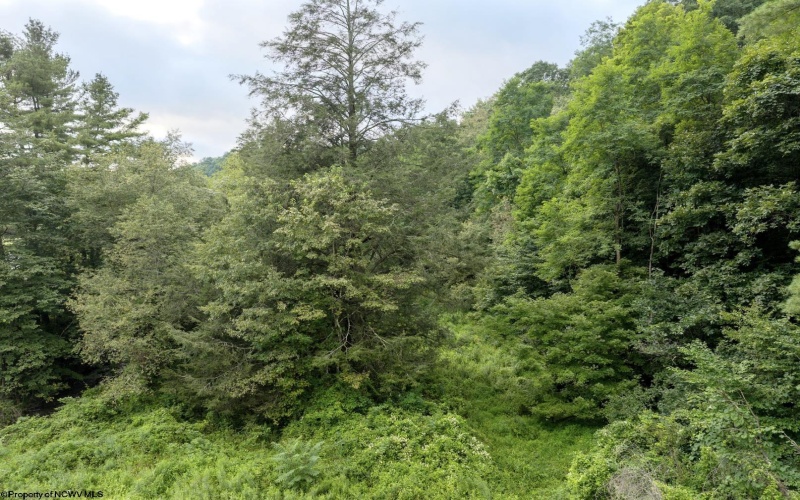 Lot 1 Buck Lick Road, Terra Alta, West Virginia 26764, 0 , 0 ,0,Lots/land,For Sale,Buck Lick,0,10166525