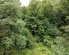 Lot 1 Buck Lick Road, Terra Alta, West Virginia 26764, 0 , 0 ,0,Lots/land,For Sale,Buck Lick,0,10166525