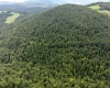 Lot 1 Buck Lick Road, Terra Alta, West Virginia 26764, 0 , 0 ,0,Lots/land,For Sale,Buck Lick,0,10166525