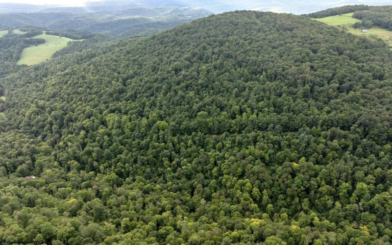Lot 1 Buck Lick Road, Terra Alta, West Virginia 26764, 0 , 0 ,0,Lots/land,For Sale,Buck Lick,0,10166525