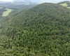 Lot 1 Buck Lick Road, Terra Alta, West Virginia 26764, 0 , 0 ,0,Lots/land,For Sale,Buck Lick,0,10166525