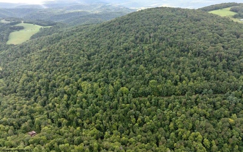 Lot 1 Buck Lick Road, Terra Alta, West Virginia 26764, 0 , 0 ,0,Lots/land,For Sale,Buck Lick,0,10166525