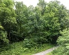 Lot 1 Buck Lick Road, Terra Alta, West Virginia 26764, 0 , 0 ,0,Lots/land,For Sale,Buck Lick,0,10166525