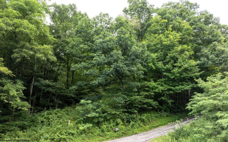 Lot 1 Buck Lick Road, Terra Alta, West Virginia 26764, 0 , 0 ,0,Lots/land,For Sale,Buck Lick,0,10166525