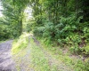 Lot 1 Buck Lick Road, Terra Alta, West Virginia 26764, 0 , 0 ,0,Lots/land,For Sale,Buck Lick,0,10166525