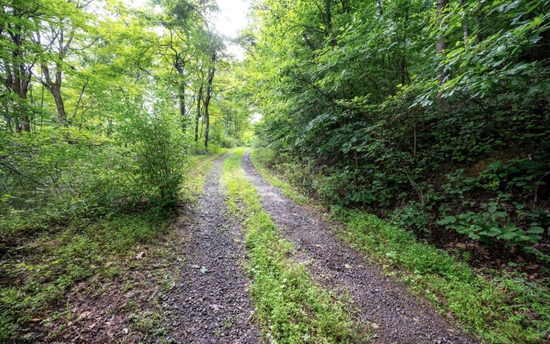 Lot 1 Buck Lick Road, Terra Alta, West Virginia 26764, 0 , 0 ,0,Lots/land,For Sale,Buck Lick,0,10166525