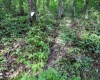 Lot 1 Buck Lick Road, Terra Alta, West Virginia 26764, 0 , 0 ,0,Lots/land,For Sale,Buck Lick,0,10166525