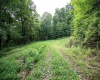 Lot 1 Buck Lick Road, Terra Alta, West Virginia 26764, 0 , 0 ,0,Lots/land,For Sale,Buck Lick,0,10166525