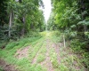 Lot 1 Buck Lick Road, Terra Alta, West Virginia 26764, 0 , 0 ,0,Lots/land,For Sale,Buck Lick,0,10166525