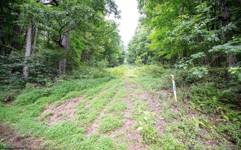 Lot 1 Buck Lick Road, Terra Alta, West Virginia 26764, 0 , 0 ,0,Lots/land,For Sale,Buck Lick,0,10166525