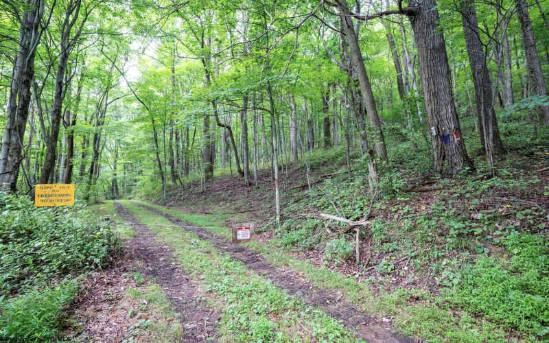 Lot 1 Buck Lick Road, Terra Alta, West Virginia 26764, 0 , 0 ,0,Lots/land,For Sale,Buck Lick,0,10166525