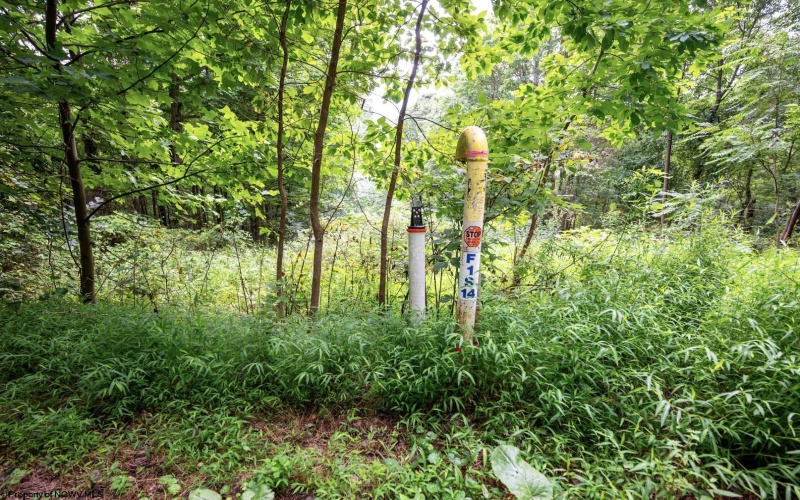 Lot 1 Buck Lick Road, Terra Alta, West Virginia 26764, 0 , 0 ,0,Lots/land,For Sale,Buck Lick,0,10166525