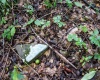 Lot 1 Buck Lick Road, Terra Alta, West Virginia 26764, 0 , 0 ,0,Lots/land,For Sale,Buck Lick,0,10166525