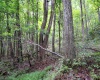 Lot 1 Buck Lick Road, Terra Alta, West Virginia 26764, 0 , 0 ,0,Lots/land,For Sale,Buck Lick,0,10166525