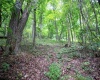 Lot 1 Buck Lick Road, Terra Alta, West Virginia 26764, 0 , 0 ,0,Lots/land,For Sale,Buck Lick,0,10166525