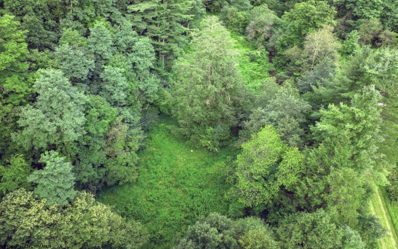 Lot 1 Buck Lick Road, Terra Alta, West Virginia 26764, 0 , 0 ,0,Lots/land,For Sale,Buck Lick,0,10166525
