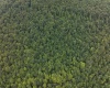 Lot 1 Buck Lick Road, Terra Alta, West Virginia 26764, 0 , 0 ,0,Lots/land,For Sale,Buck Lick,0,10166525