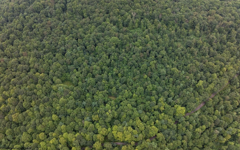 Lot 1 Buck Lick Road, Terra Alta, West Virginia 26764, 0 , 0 ,0,Lots/land,For Sale,Buck Lick,0,10166525