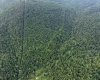 Lot 1 Buck Lick Road, Terra Alta, West Virginia 26764, 0 , 0 ,0,Lots/land,For Sale,Buck Lick,0,10166525