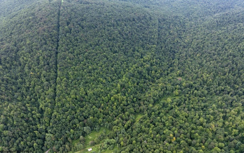 Lot 1 Buck Lick Road, Terra Alta, West Virginia 26764, 0 , 0 ,0,Lots/land,For Sale,Buck Lick,0,10166525