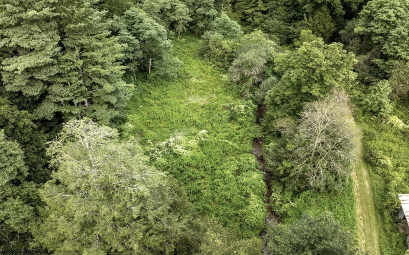 Lot 1 Buck Lick Road, Terra Alta, West Virginia 26764, 0 , 0 ,0,Lots/land,For Sale,Buck Lick,0,10166525