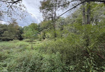 17366A Veterans Memorial Highway, Kingwood, West Virginia 26537, 0 , 0 ,0,Lots/land,For Sale,Veterans Memorial,0,10166536