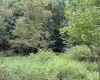 17366A Veterans Memorial Highway, Kingwood, West Virginia 26537, 0 , 0 ,0,Lots/land,For Sale,Veterans Memorial,0,10166536