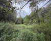 17366A Veterans Memorial Highway, Kingwood, West Virginia 26537, 0 , 0 ,0,Lots/land,For Sale,Veterans Memorial,0,10166536