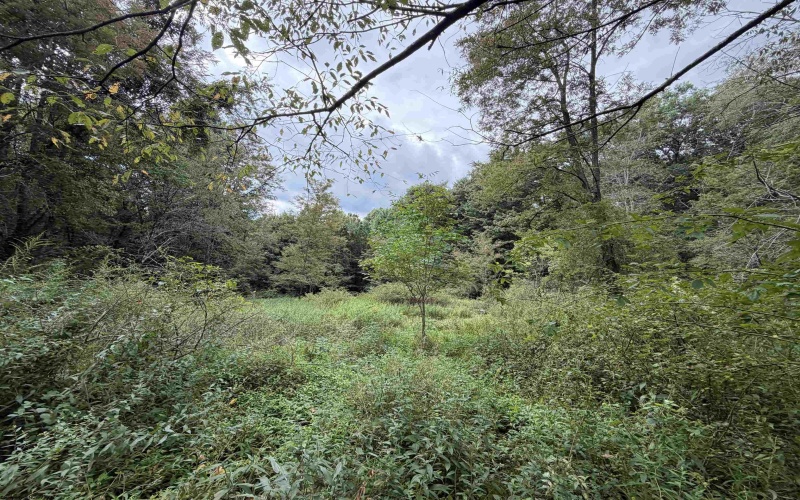 17366A Veterans Memorial Highway, Kingwood, West Virginia 26537, 0 , 0 ,0,Lots/land,For Sale,Veterans Memorial,0,10166536