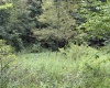17366A Veterans Memorial Highway, Kingwood, West Virginia 26537, 0 , 0 ,0,Lots/land,For Sale,Veterans Memorial,0,10166536